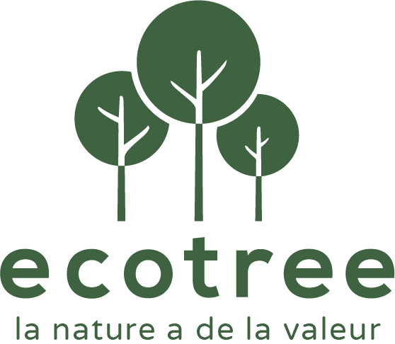 Logo vert foncé - baseline.png